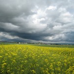Wetterau - Schaurig schön