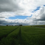 Wetterau - Der Himmel reißt gegen Mittag auf ...