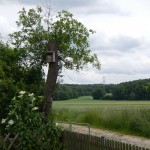 B-RC03-Grillfest-130513-15-Natur_am_Angelteich-WEB