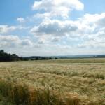 B-RC03-RW-Kloster_Arnsburg-04-Landschaft_bei_Melbach-WEB
