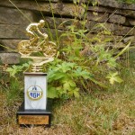 B-RC03-130728-01-RTF_Hungen-Pokal-WEB