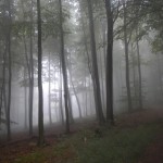 B-CTF-131013-03-VC_Frankfurt_Rodheim-Strecke-WEB