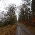 Nikolaus-CTF 2013 - Streckenimpression