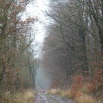 B-CTF-131208-03-TV_Schlüchtern-Streckenimpressionen-WEB