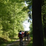 B-RC03-140421-17-RTC_Sandhasen-Fußgängerzone-WEB