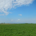 B-RC03-140421-24-RTC_Sandhasen-Impresssionen-WEB