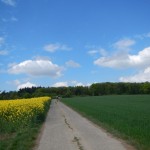 B-RC03-140421-27-RTC_Sandhasen-Impresssionen-WEB