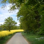 B-RC03-140421-30-RTC_Sandhasen-Impresssionen_vor_Römerstrasse-WEB