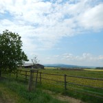 B-RC03-140421-33-RTC_Sandhasen-Impresssionen_Römerstrasse-WEB