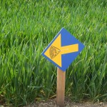 B-RC03-140421-36-RTC_Sandhasen-Impresssionen_Streckenpfeil-WEB