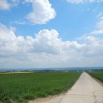 B-RC03-140421-39-RTC_Sandhasen-Impresssionen_Södel-WEB