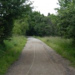 B-RC03-RW-140603-33-Grüngürtel_FFM-Vorfahrt-WEB