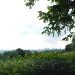 B-RC03-RW-140603-45-Grüngürtel_FFM-Vorfahrt-WEB