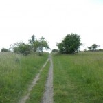 B-RC03-RW-140603-49-Grüngürtel_FFM-Vorfahrt-WEB