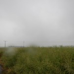 B-RC03-150621-05-RTF_Nieder-Weisel-WEB