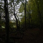 B-RC03-CTF-151018-01-RC_Oberstedten-WEB