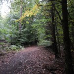 B-RC03-CTF-151018-04-RC_Oberstedten-WEB