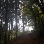 B-RC03-CTF-151018-05-RC_Oberstedten-WEB