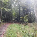 B-RC03-CTF-151018-06-RC_Oberstedten-WEB