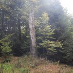 B-RC03-CTF-151018-07-RC_Oberstedten-WEB