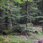 B-RC03-CTF-151018-08-RC_Oberstedten-WEB