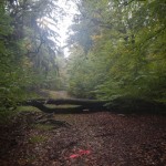 B-RC03-CTF-151018-09-RC_Oberstedten-WEB