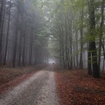 B-RC03-CTF-151018-10-RC_Oberstedten-WEB