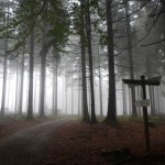 B-RC03-CTF-151018-12-RC_Oberstedten-WEB