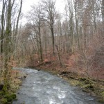 B-RC03-CTF-151206-04-TV_Schlüchtern-WEB