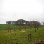 B-RC03-CTF-151206-07-TV_Schlüchtern-WEB