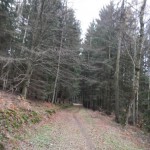 B-RC03-CTF-151206-11-TV_Schlüchtern-WEB