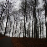 B-RC03-CTF-151206-16-TV_Schlüchtern-WEB